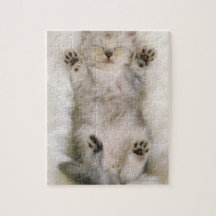 Kitten Sleeping on a White Fluffy Carpet, High Jigsaw Puzzles