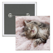 Kitten Sleeping on Towel