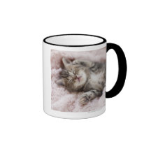 Kitten Sleeping on Towel Coffee Mugs