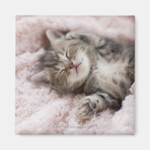 Kitten Sleeping on Towel Fridge Magnets