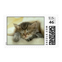 Kitten Sleeping Postage Stamp