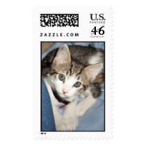 Kitten stamps by kennedr Kitten stamps