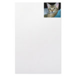 Kitten Stationery Design