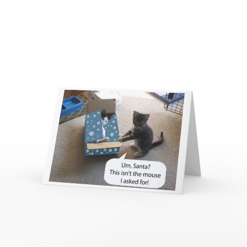 Kitten suprise card card