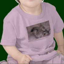 kitten t-shirt