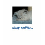 Kitten Tee or NightShirt