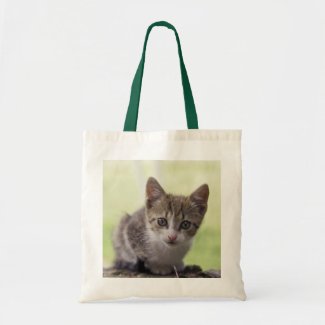Kitten Tote Bag