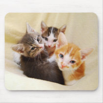 Kitten Trio Mousepad mousepads