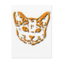 Kitten Tshirts and Gifts 256 Postcards