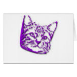 Kitten Tshirts and Gifts 363 Cards