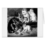 Kitten Tshirts and Gifts 370 Greeting Card