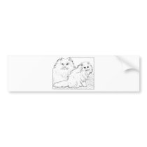 Kitten Tshirts and Gifts 405 Bumper Stickers