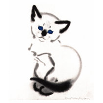Kitten Tshirts and Gifts 416 by kittenshirts Kitten Tshirts and Gifts 416