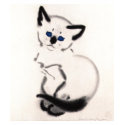 Kitten Tshirts and Gifts 416 by kittenshirts Kitten Tshirts and Gifts 416