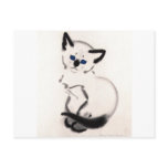 Kitten Tshirts and Gifts 416 Post Cards