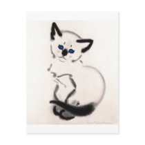 Kitten Tshirts and Gifts 416 Post Cards