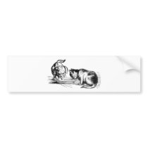 Kitten Tshirts and Gifts 440 bumper stickers by kittenshirts Kitten Tshirts and Gifts 440 bumper stickers