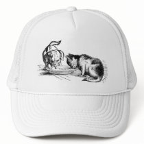 Kitten Tshirts and Gifts 440 hats by kittenshirts Kitten Tshirts and Gifts 440 hats