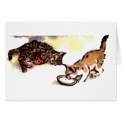 Kitten Tshirts and Gifts 469 card