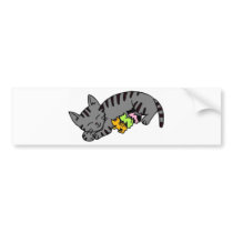 Kitten Tshirts and Gifts 471 bumper stickers by kittenshirts Kitten Tshirts and Gifts 471 bumper stickers