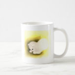Kitten Tshirts and Gifts 64 Coffee Mugs
