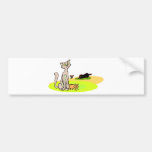 Kitten Tshirts and Gifts 8 Bumper Sticker