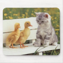 kitten with ducks mouse pads