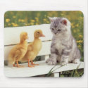 kitten with ducks mousepads by trish1968 kitten with ducks mousepads