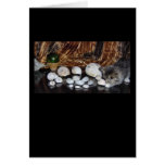 Kitten with Sea Shells cards