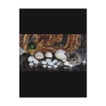 Kitten with Sea Shells postcards