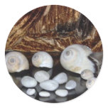 Kitten with Sea Shells stickers