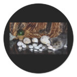 Kitten with Sea Shells stickers