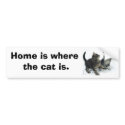 kittenjanuary, Home is where the cat is. bumper stickers by catwoman24 kittenjanuary, Home is where the cat is. bumper stickers