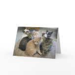 Kittens 048 greeting cards