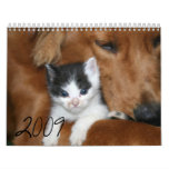 kittens, 2009 - Customized calendars