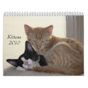 Kittens 2010 Calendar