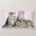 Kittens American MoJo Pillow pillows