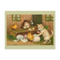 Kittens and Chicks Easter Greeting Post Card