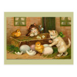 Kittens and Chicks Easter Greeting postcards
