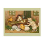 Kittens and Chicks Easter Greeting Post Card