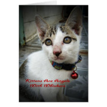 Kittens Are Angels With Whiskers cards