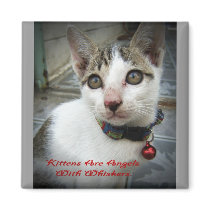 Kittens Are Angels With Whiskers magnets
