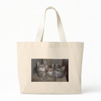 Kittens bags