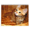 Kittens! calendars by terri_lg Kittens! calendars