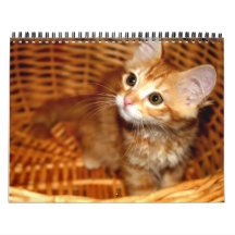 Kittens! Calendars