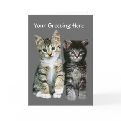 Kittens Card by purrfection