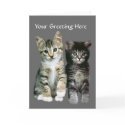 Kittens Card