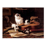 Kittens cat playing with guitar naughty cute postcards
