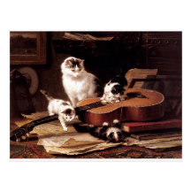 Kittens cat playing with guitar naughty cute postcards
