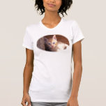 kittens clothing t-shirts